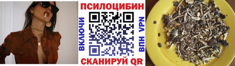 kraken ONION  Звенигород  Псилоцибиновые грибы ЛСД 