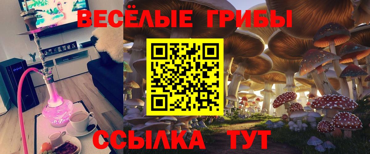Псилоцибиновые грибы Magic Shrooms Звенигород
