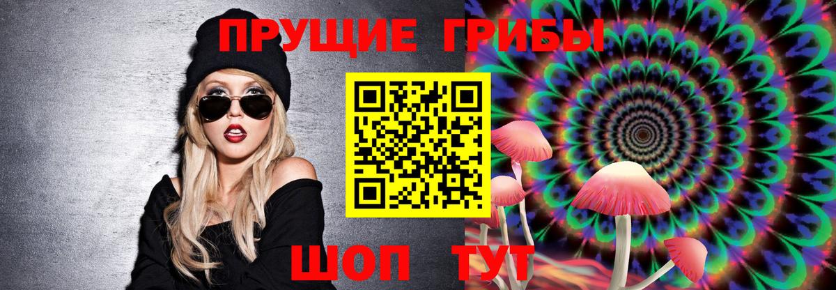 Звенигород  Псилоцибиновые грибы прущие грибы  Псилоцибиновые грибы MAGIC MUSHROOMS  Вход с VPN 